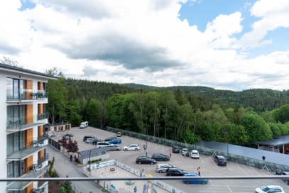 Blue Mountain- zarabia 47 164,04 netto rocznie 15